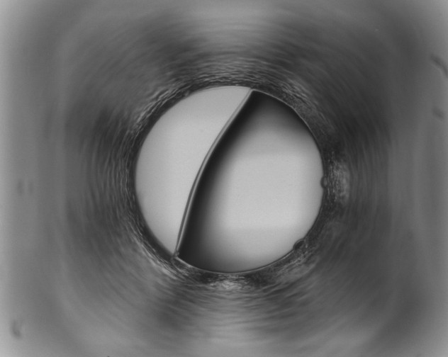 X0000101120412200806261050