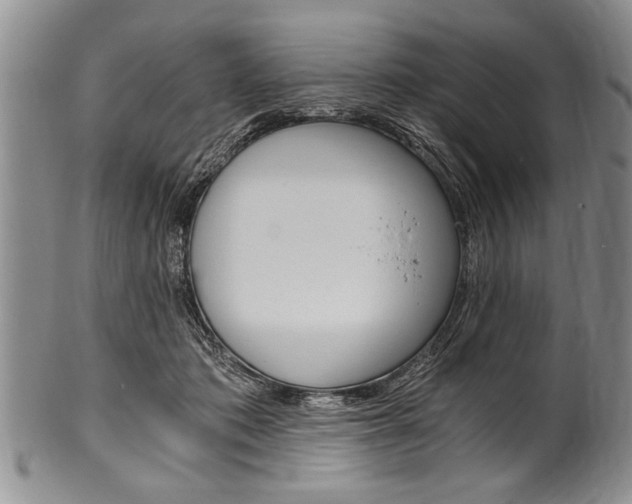 X0000101120413200806261050