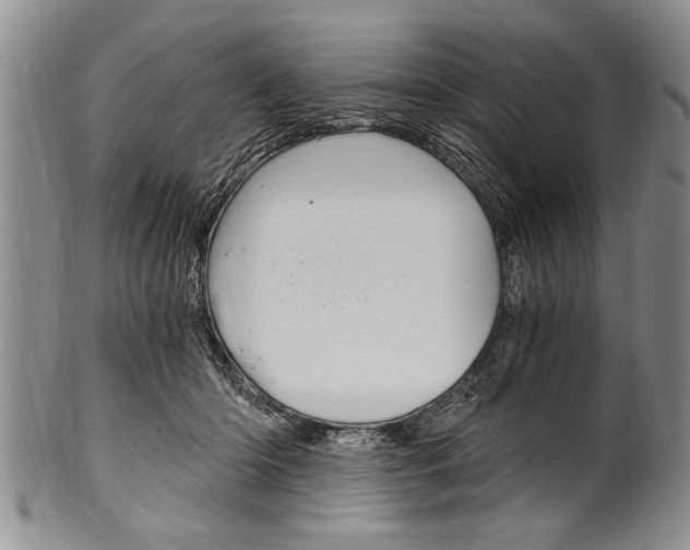 X0000101120414200806261050