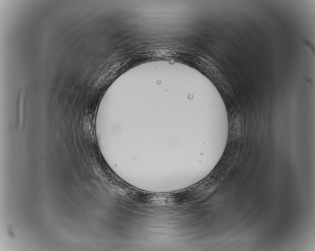 X0000101120415200806261050