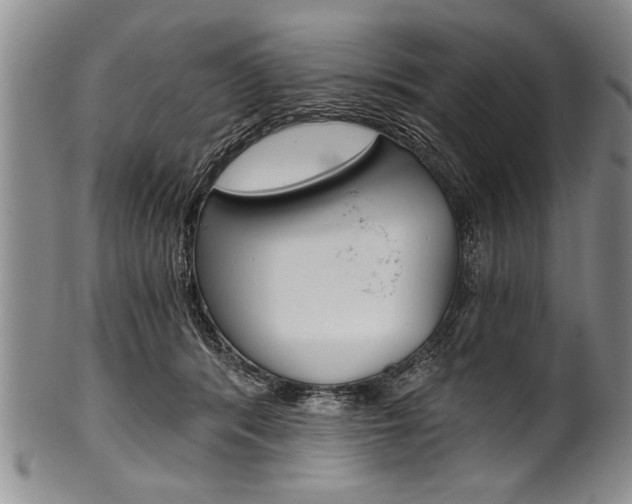 X0000101120416200806261050