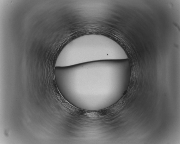 X0000101120417200806261050