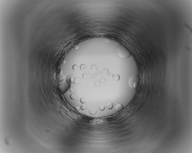 X0000101120418200806261050