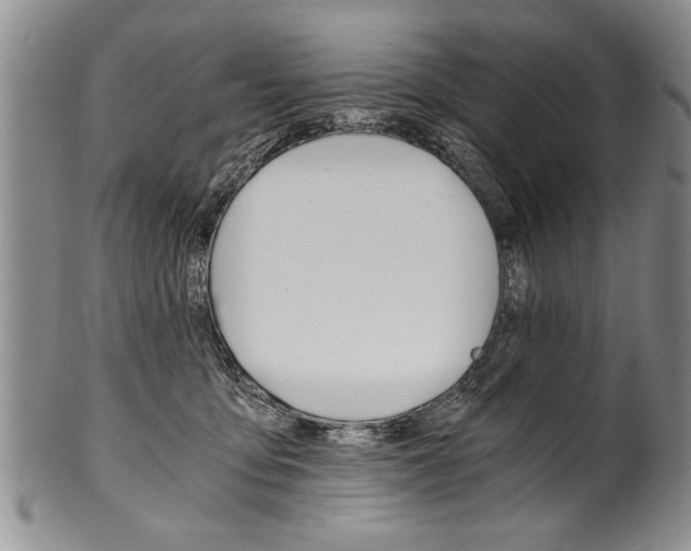 X0000101120419200806261050