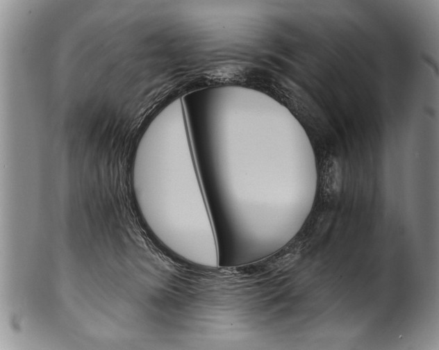 X0000101120420200806261050