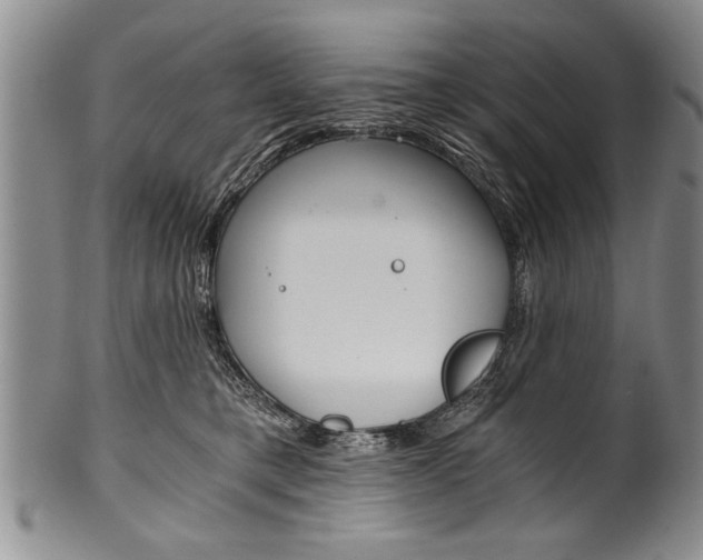 X0000101120421200806261050