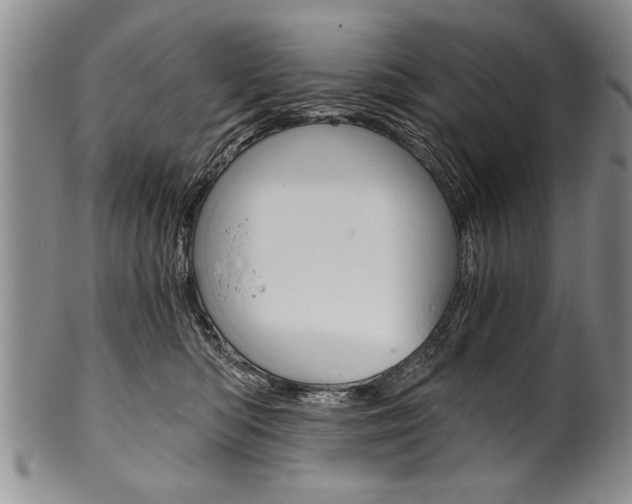 X0000101120422200806261050