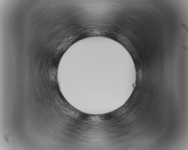 X0000101120423200806261050