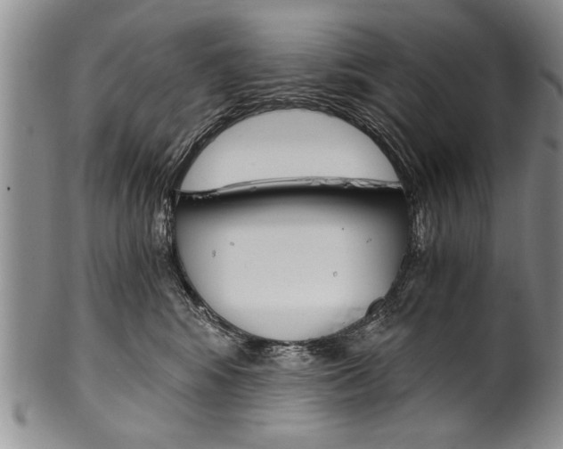 X0000101120424200806261050