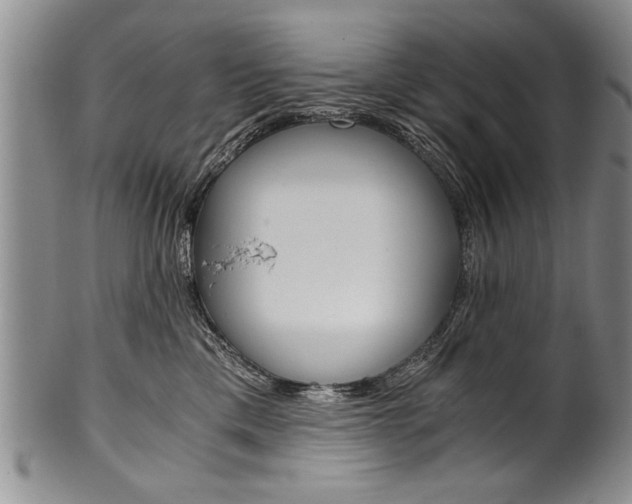 X0000101120425200806261050