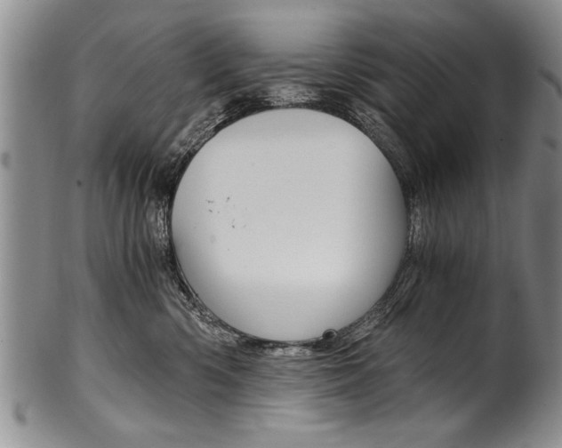 X0000101120426200806261050