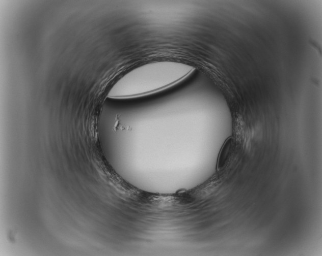 X0000101120428200806261050
