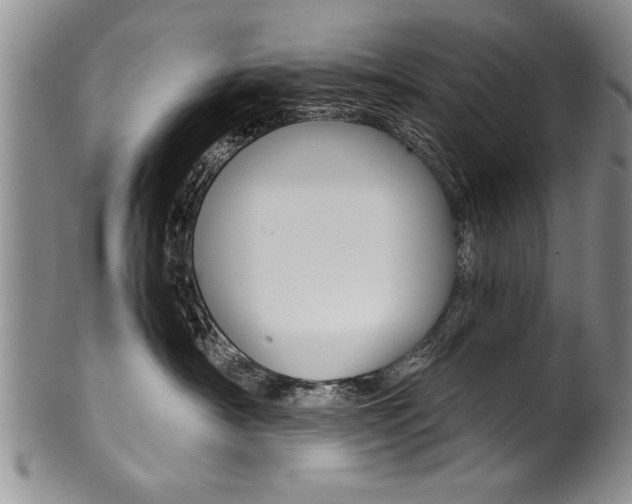 X0000101120430200806261049