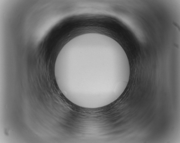 X0000101120431200806261049