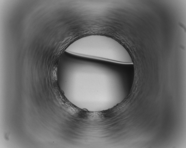 X0000101120432200806261049