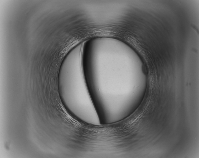 X0000101120433200806261049
