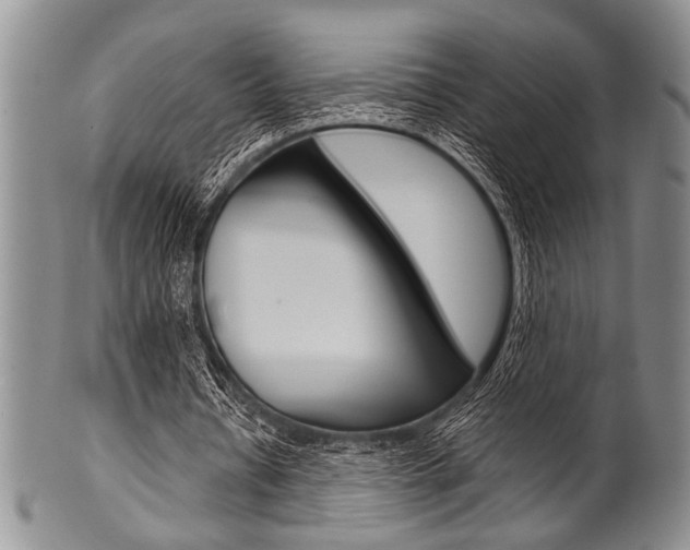 X0000101120434200806261049