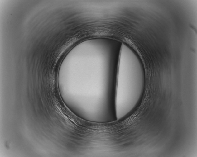 X0000101120435200806261049