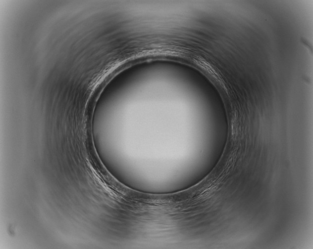 X0000101120436200806261049