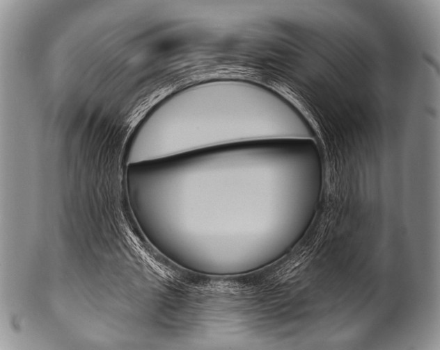 X0000101120437200806261049