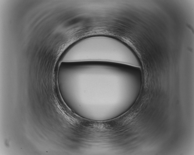 X0000101120439200806261049