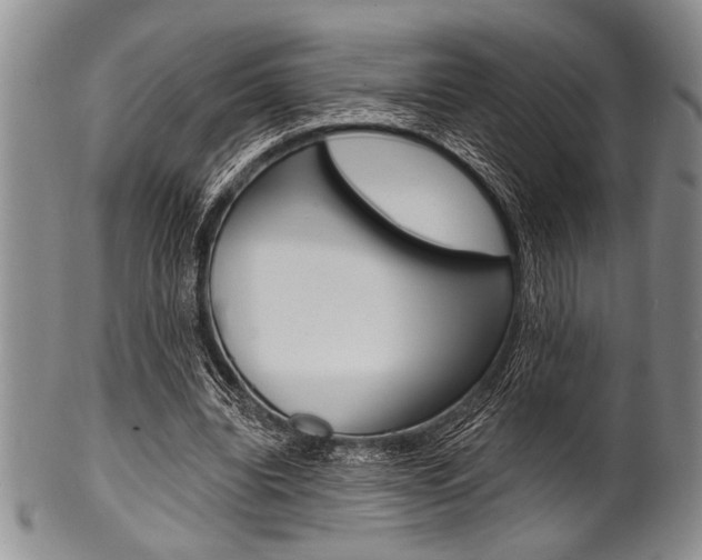 X0000101120440200806261049