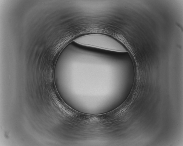 X0000101120441200806261049