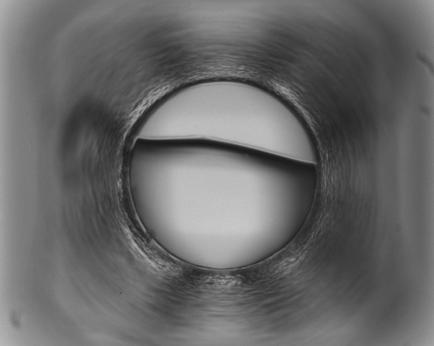 X0000101120443200806261049