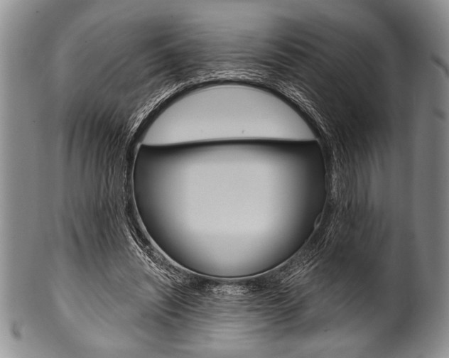 X0000101120444200806261049