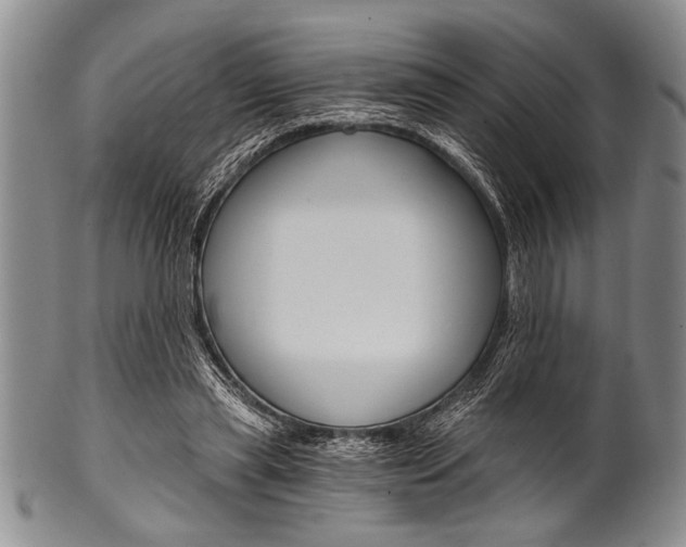 X0000101120445200806261049