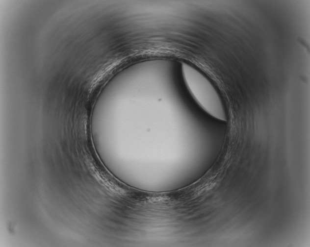 X0000101120446200806261049