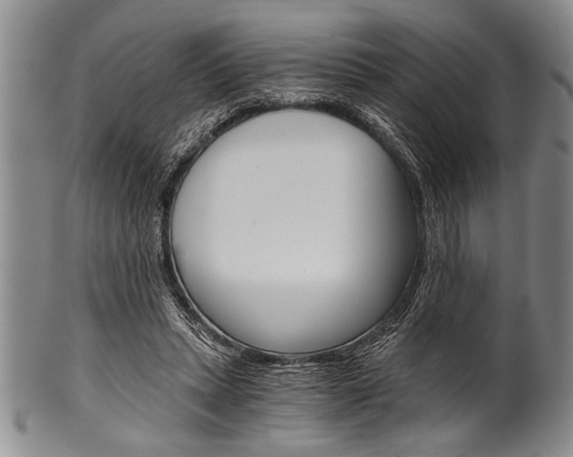 X0000101120447200806261049