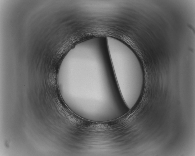 X0000101120449200806261049