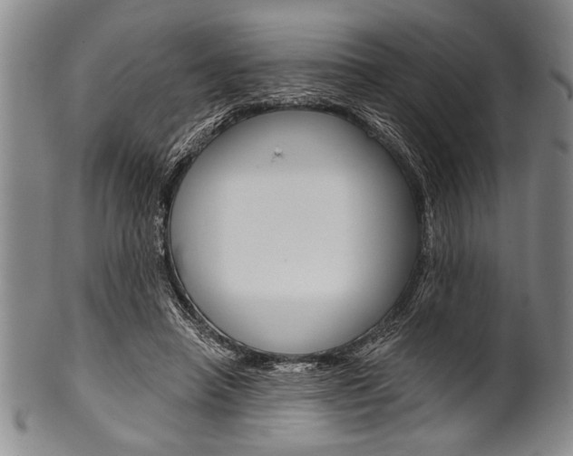 X0000101120450200806261049