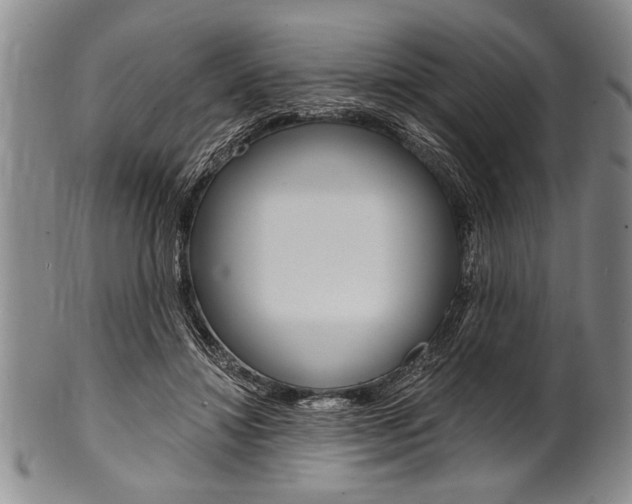 X0000101120452200806261049