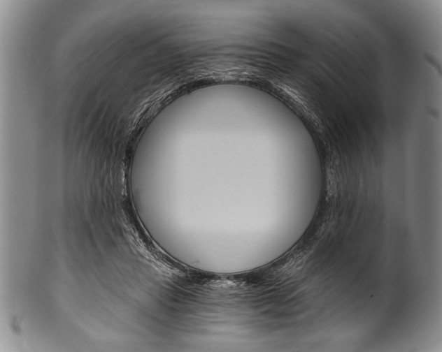 X0000101120453200806261049