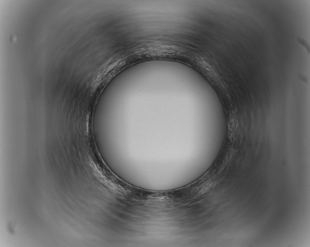 X0000101120454200806261049