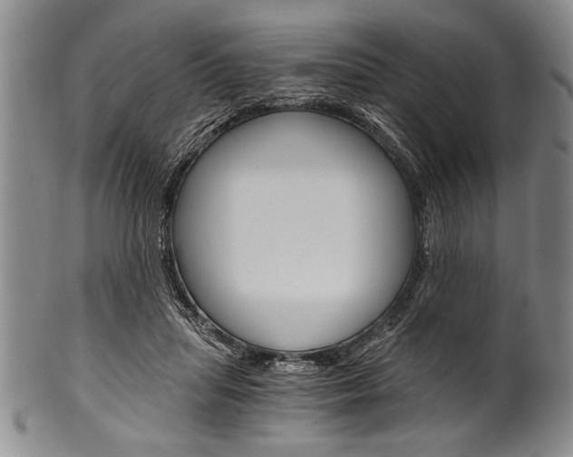 X0000101120455200806261049
