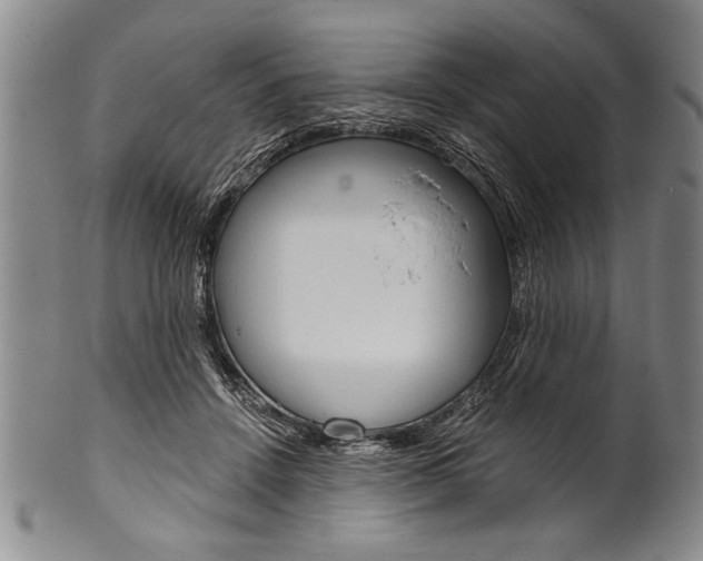 X0000101120456200806261049