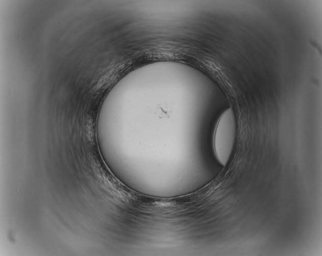 X0000101120457200806261049