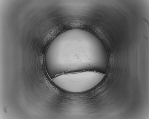 X0000101120458200806261049