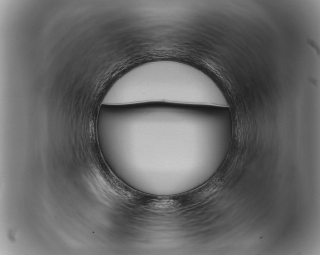 X0000101120459200806261049