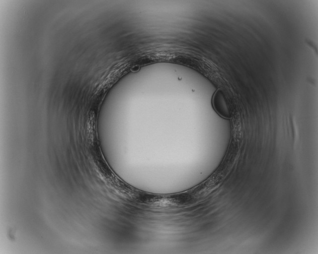 X0000101120460200806261049