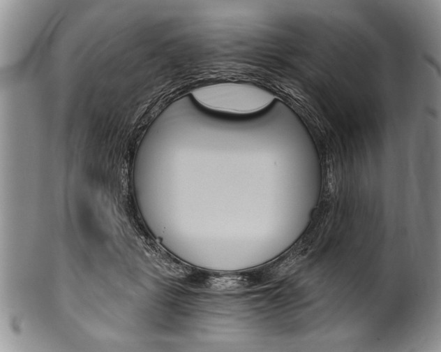 X0000101120461200806261049