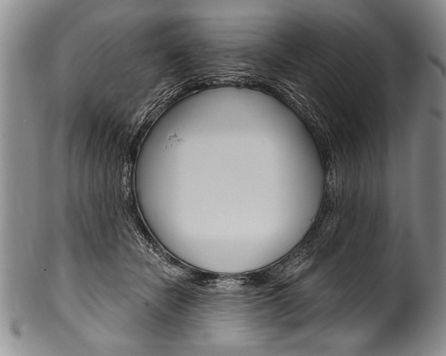 X0000101120462200806261049