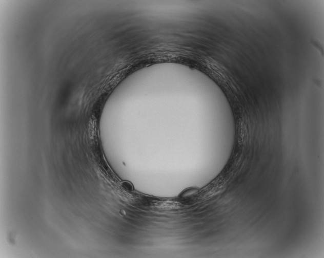 X0000101120463200806261049