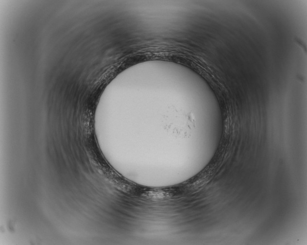 X0000101120464200806261049