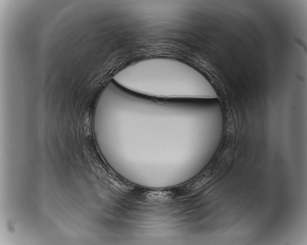 X0000101120465200806261049