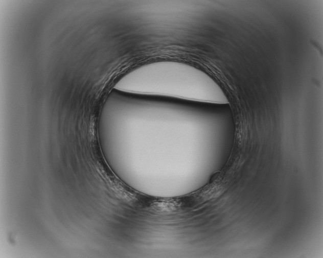 X0000101120466200806261049