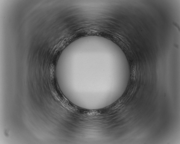 X0000101120468200806261049